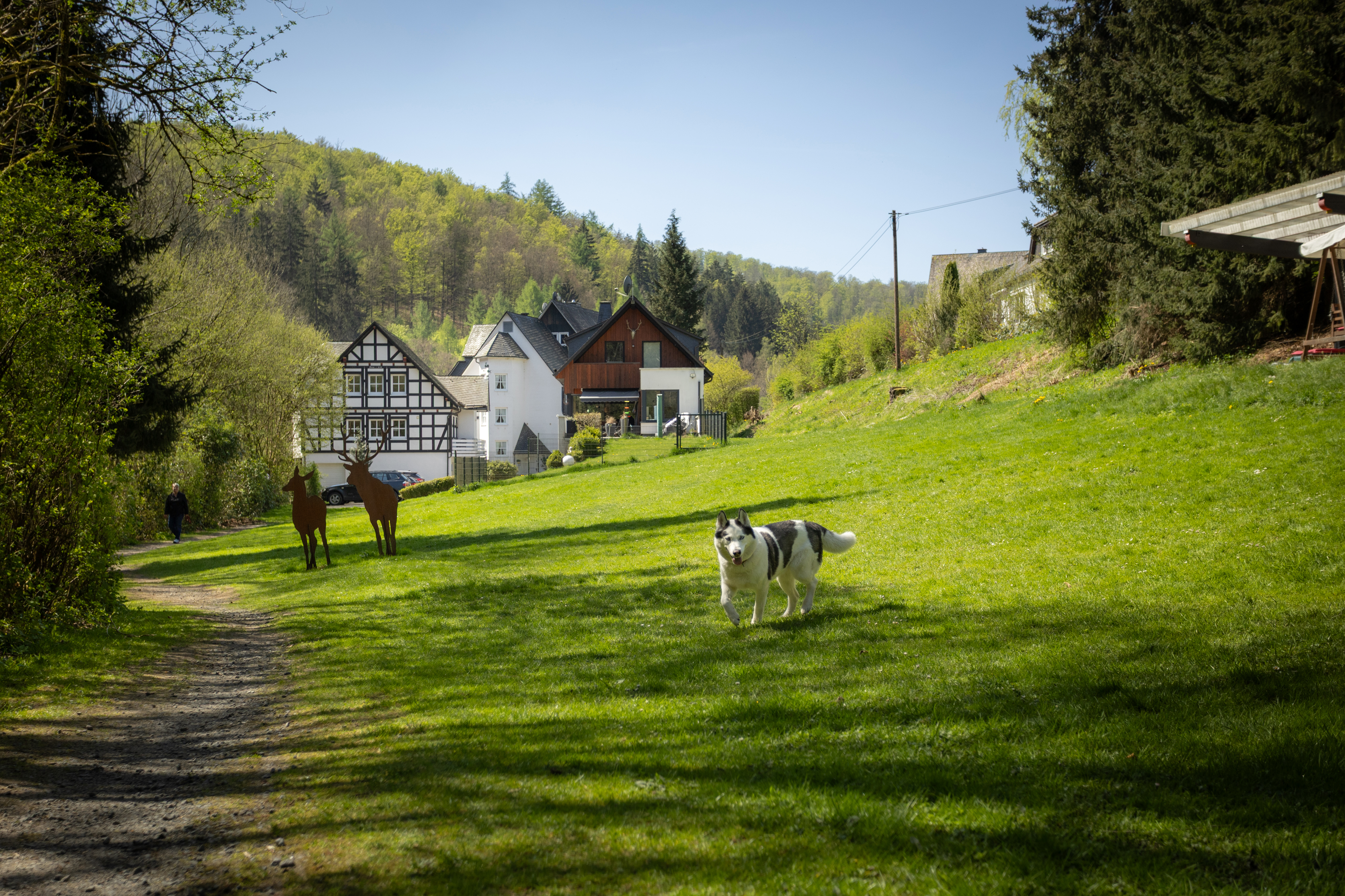 Urlaub-mit-Hund: Großzügiger Garten mit Wassertretbecken und Liegehalle - Hotel Hubertushöhe