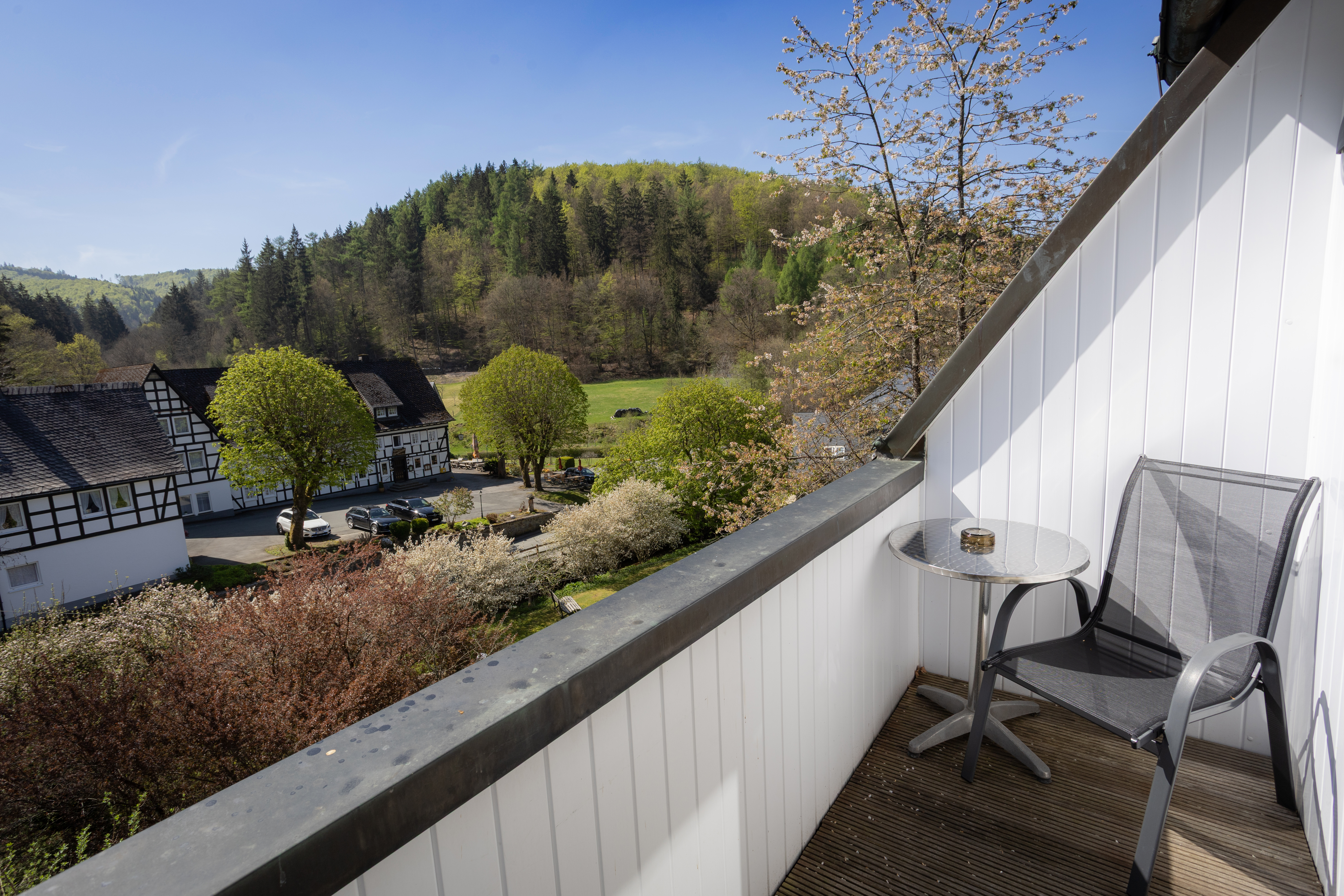 Urlaub-mit-Hund: Balkon, Aussicht - Hotel Hubertushöhe