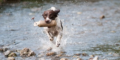 Hundehotel - Ofterschwang - Urlaub mit dem Hund - Hotel Goldener Berg - Mountain Selfcare Resort