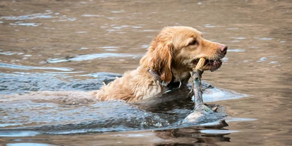 Hundehotel - Ofterschwang - Sommerurlaub mit dem Hund - Hotel Goldener Berg - Mountain Selfcare Resort