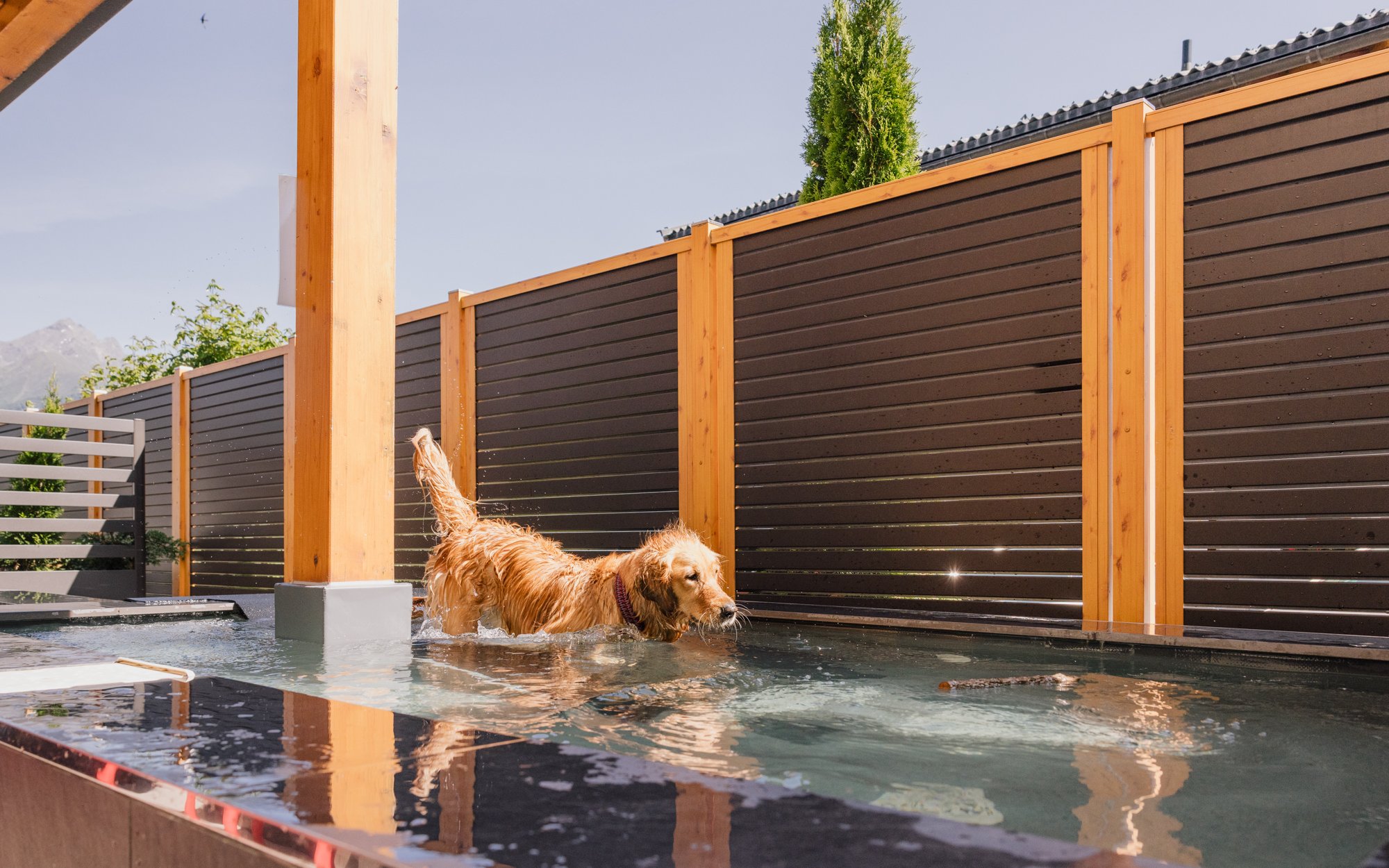 Hundehotel - Verpflegung: Halbpension - Hotel Bergfrieden