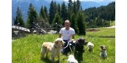Hundehotel - Doggies: 6 Doggies - PLZ 6633 (Österreich) - Dogsitting und Hundetraining - Hotel Bergfrieden Fiss in Tirol