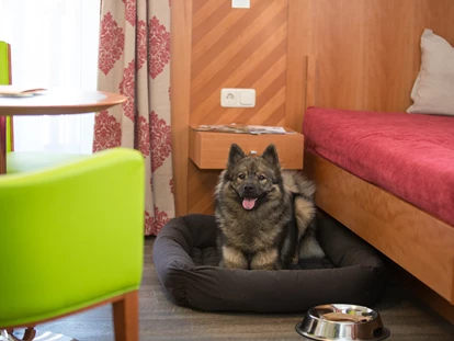 Hundehotel - Ladis - Zimmer - Hotel Bergfrieden Fiss in Tirol