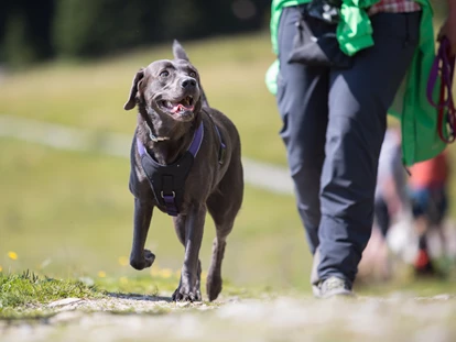 Hundehotel - Ladis - Hundewanderung - Hotel Bergfrieden Fiss in Tirol