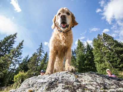 Hundehotel - Ladis - Hundewanderung - Hotel Bergfrieden Fiss in Tirol