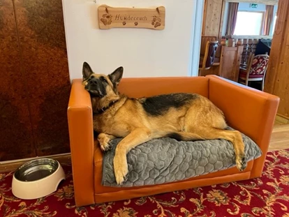 Hundehotel - Ladis - Hundecouch Rezeption - Hotel Bergfrieden Fiss in Tirol