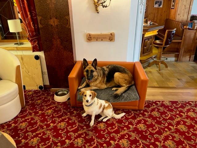 Urlaub-mit-Hund: Hundecouch Rezeption - Hotel Bergfrieden Fiss in Tirol - Haus | Umgebung, Urlaub mit Hund, Wohnen | Schlafen