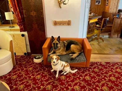 Hundehotel - Ladis - Hundecouch Rezeption - Hotel Bergfrieden Fiss in Tirol