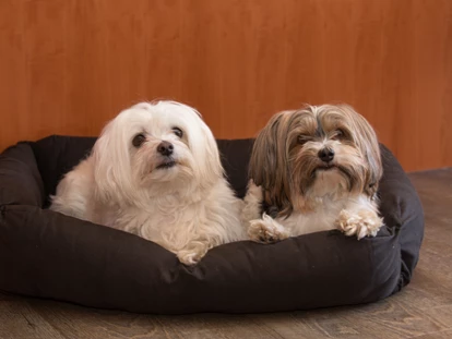 Hundehotel - Ladis - Hunde im Zimmer - Hotel Bergfrieden Fiss in Tirol