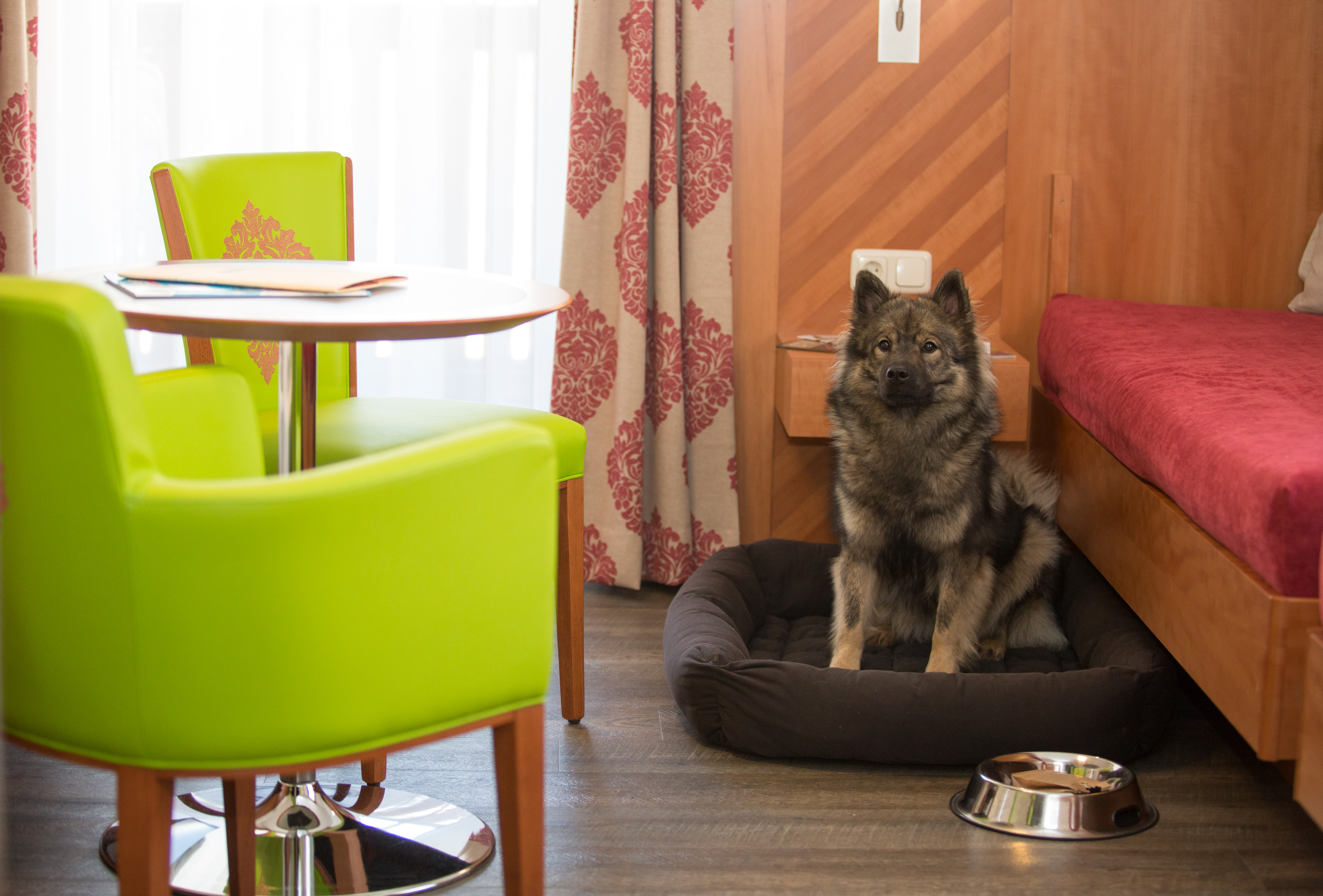 Urlaub-mit-Hund: Zimmer - Hotel Bergfrieden Fiss in Tirol - Urlaub mit Hund, Wohnen | Schlafen