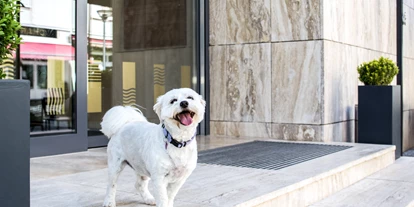 Hundehotel - Ungarn - Bonvital Wellness & Gastro Hotel****superior