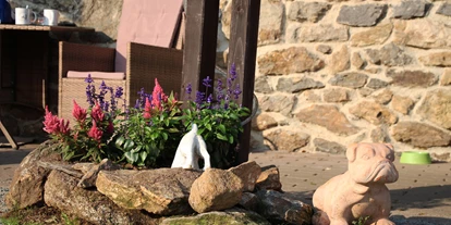 Hundehotel - Umgebungsschwerpunkt: Berg - Bernried (Landkreis Deggendorf) - Pension Wildererhof