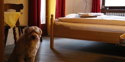 Hundehotel - Umgebungsschwerpunkt: Berg - Bernried (Landkreis Deggendorf) - Pension Wildererhof