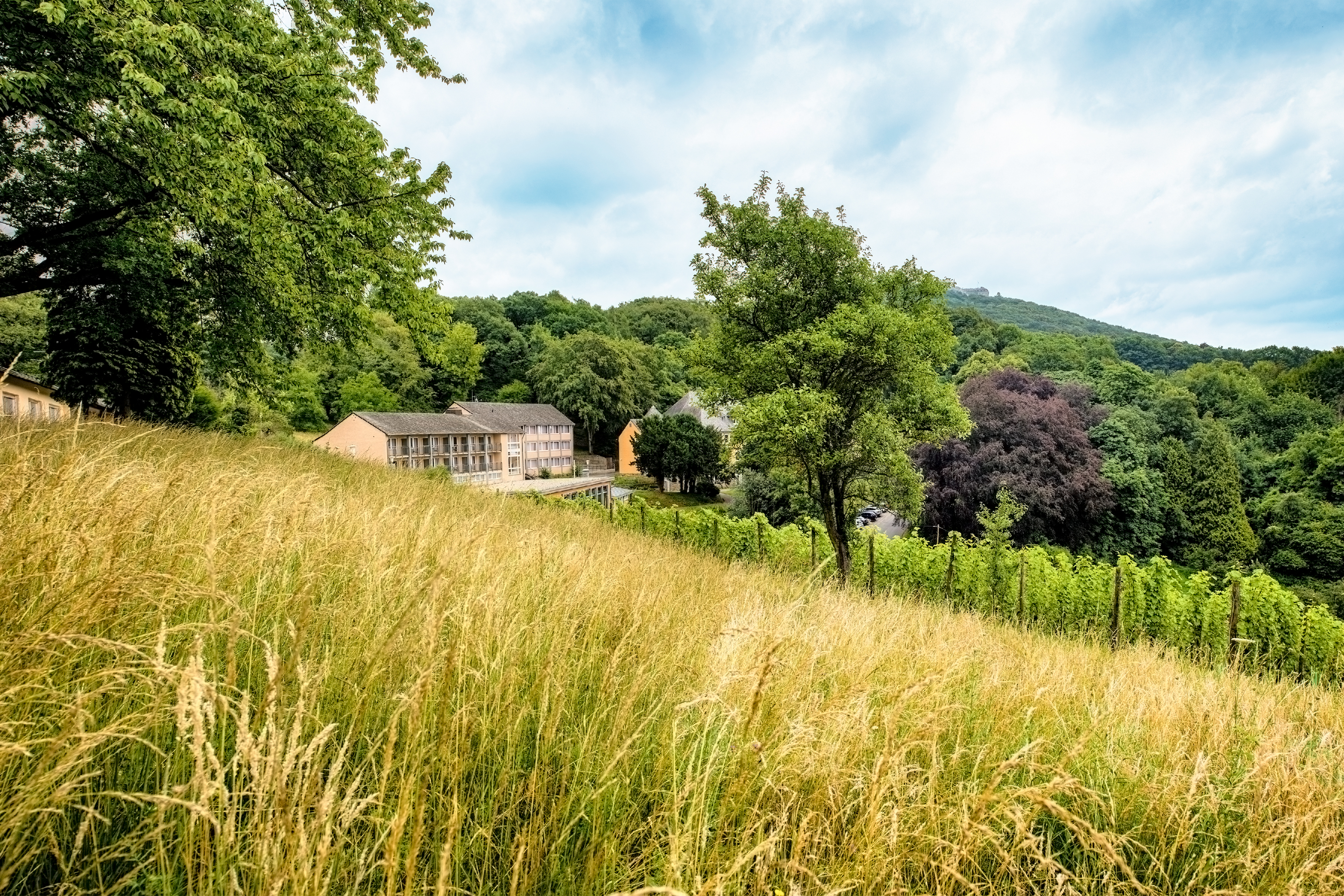 Hundehotel - Wershofen - JUFA Hotel Königswinter/Bonn***s