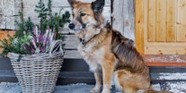 Hundehotel - Sankt Georgen ob Murau - Treuer Begleiter - Ferienhäuser Gerhart