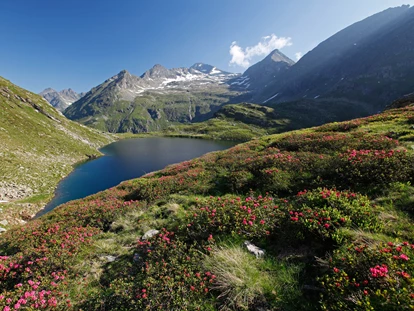 Hundehotel - Tauplitz - Landschaft in der Schladming Dachstein Region - Ferienhäuser Gerhart