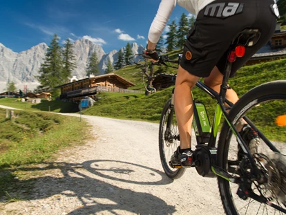 Hundehotel - Tauplitz - E- Mountainbiketour in der Schladming Dachstein Region - Ferienhäuser Gerhart