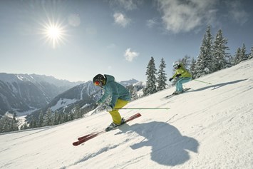 Urlaub-mit-Hund: Skifahren in der Schladming Dachstein Region - Ferienhäuser Gerhart