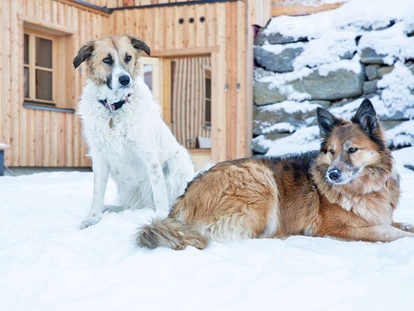 Hundehotel - Tauplitz - Urlaub mit Hund in den Ferienhäusern Gerhart - Ferienhäuser Gerhart