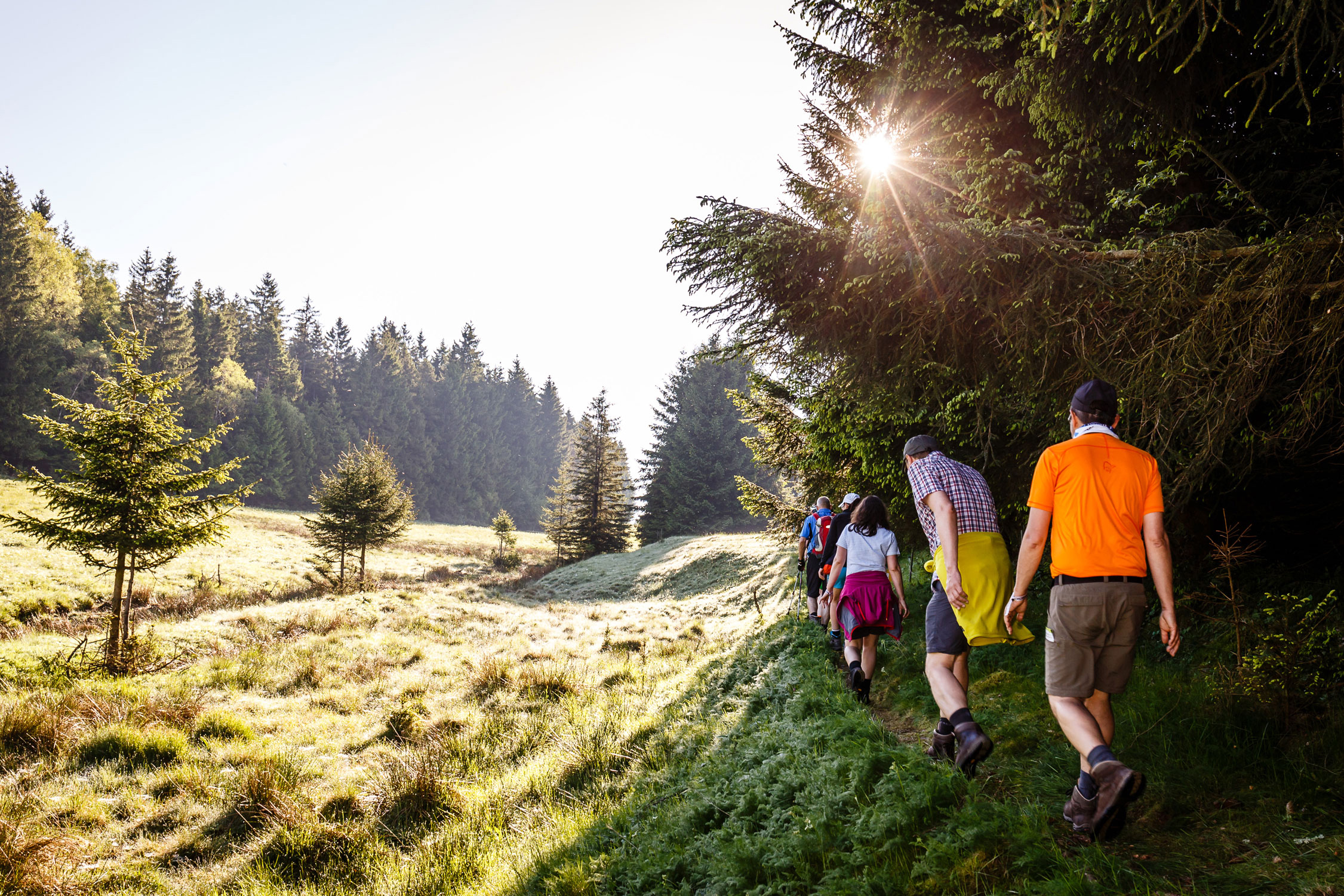 Urlaub-mit-Hund: JUFA Hotel Kronach – Festung Rosenberg***