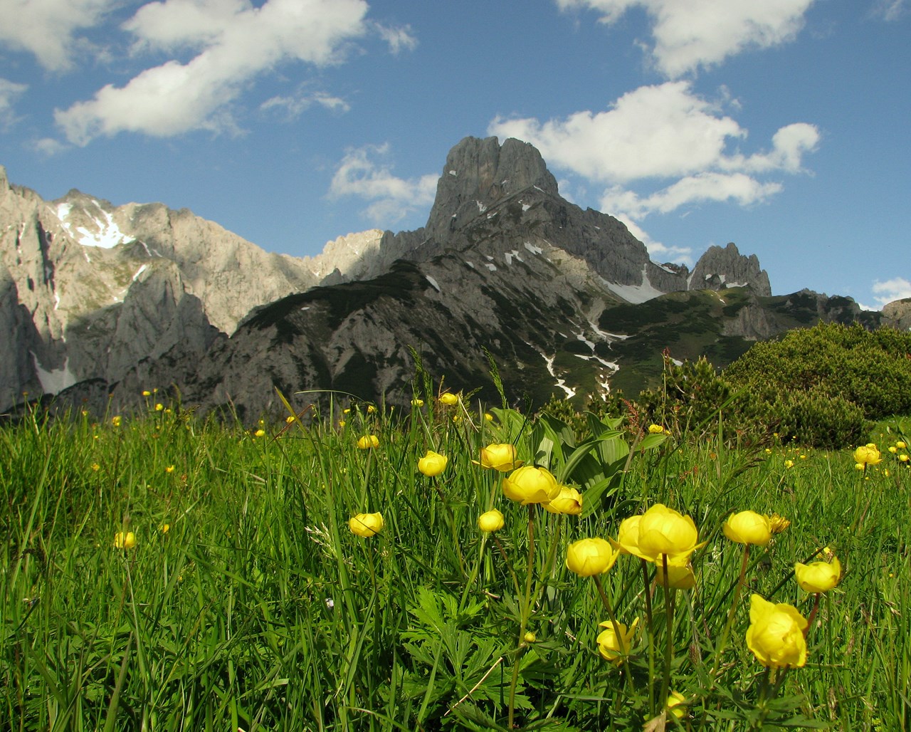 Luxuslodge - Zeit zum Leben Ausflugsziele Mahdalm-Loseggalm 