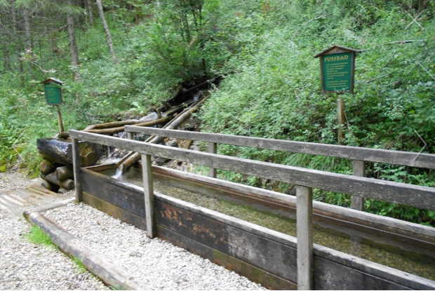 Luxuslodge - Zeit zum Leben Ausflugsziele Baumlehrpfad und Kneippanlage