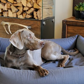 Urlaub-mit-Hund: Urlaub mit Hund im Chalet - Luxuslodge - Zeit zum Leben