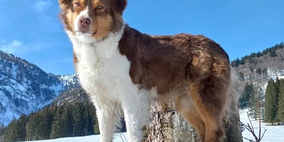 Hundehotel - Tauplitz - Luxuslodge - Zeit zum Leben