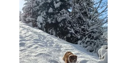 Hundehotel - Tauplitz - Luxuslodge - Zeit zum Leben