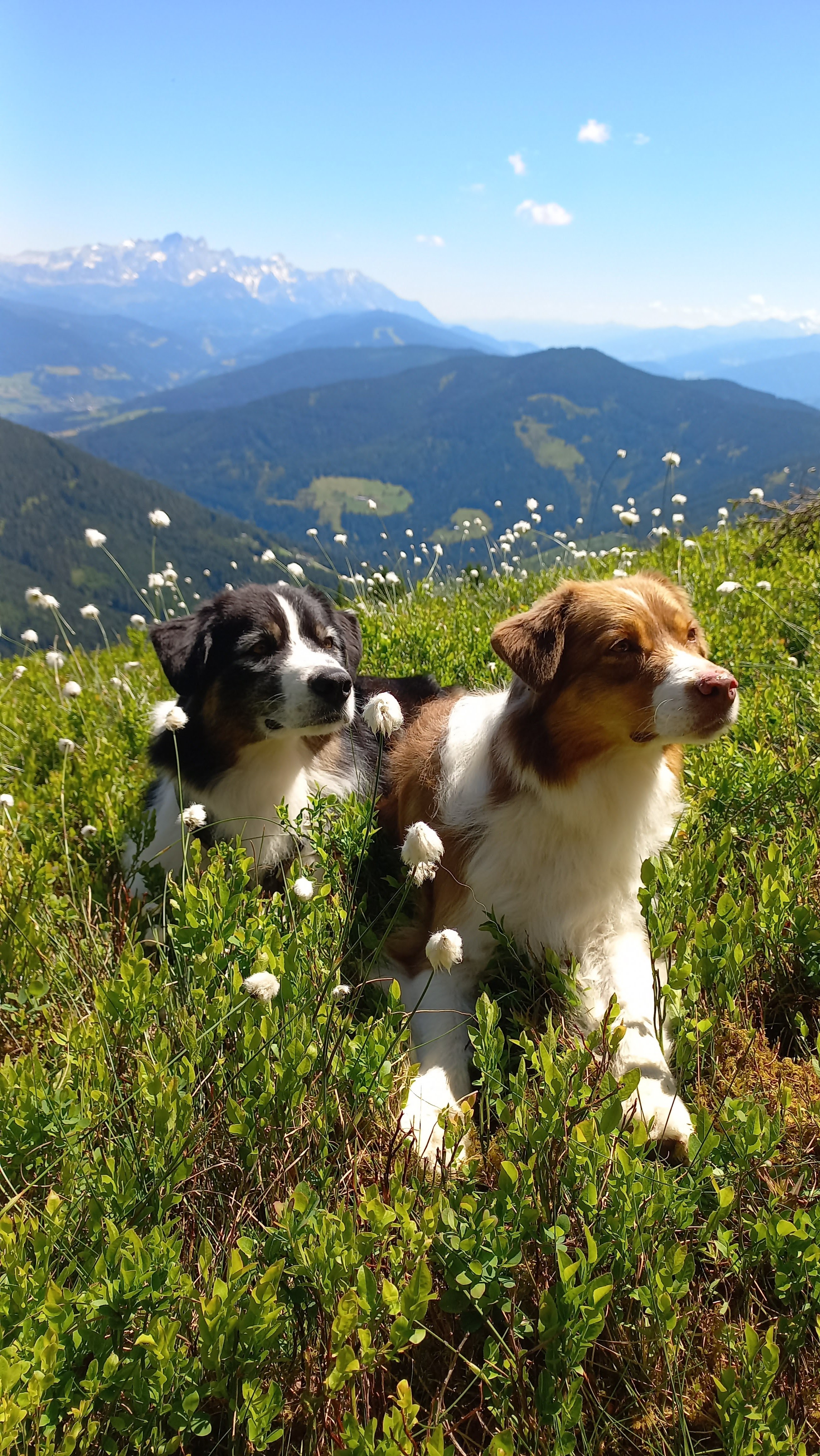 Urlaub-mit-Hund: Luxuslodge - Zeit zum Leben