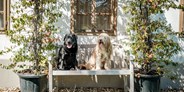 Hundehotel - Verpflegung: Vollpension - Hunde im Garten 3 - Das Eisenberg