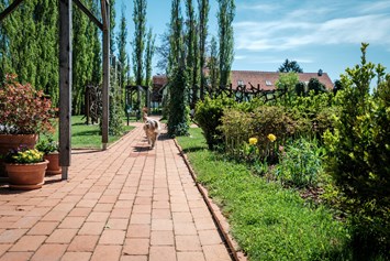 Urlaub-mit-Hund: Hund im Garten - Das Eisenberg