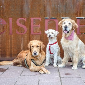 Urlaub-mit-Hund: Welcome Dogs  - Das Eisenberg