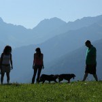 Urlaub-mit-Hund: Schöne Wanderungen mit Hund - Familienhotel Adler