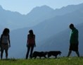 Urlaub-mit-Hund: Schöne Wanderungen mit Hund - Familienhotel Adler