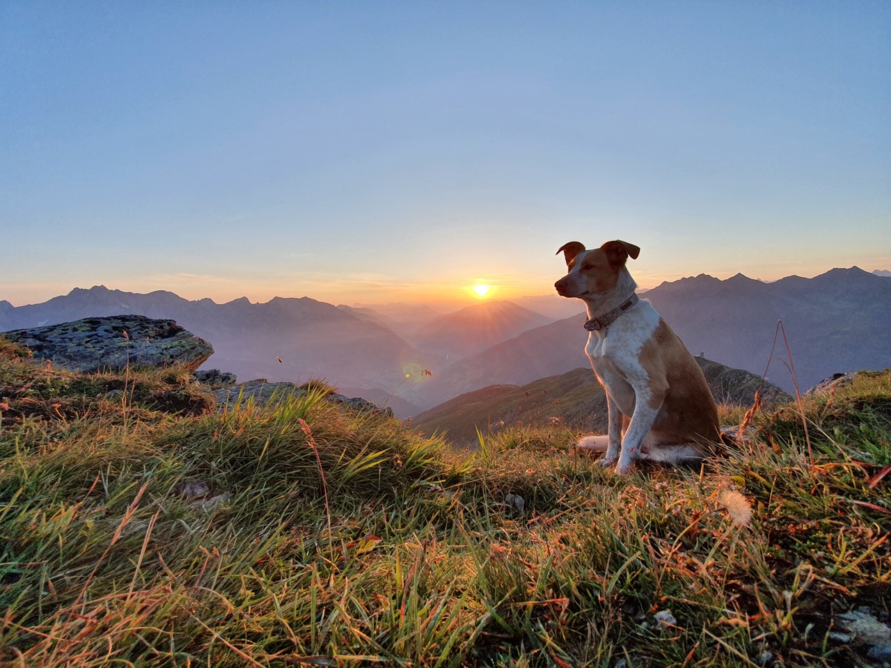 Hotel Fliana Ausflüge mit Hund Gletschersafari in Ischgl, Tirol