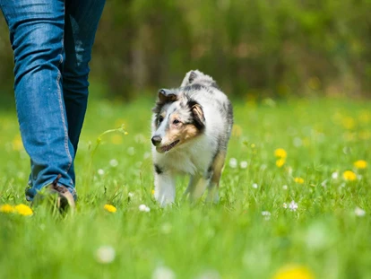 Hundehotel - Ladis - Hotel Fliana
