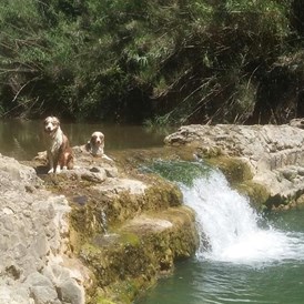 Urlaub-mit-Hund: Hund in Fluss  Nahe - Campo di Carlo