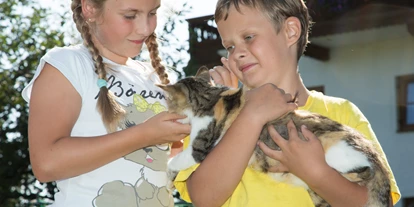Hundehotel - Pools: Schwimmteich - 6 frei laufende Katzen wollen gestreichelt werden - Seimehof