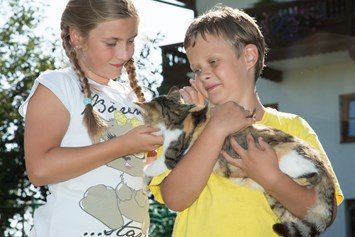 Urlaub-mit-Hund: 6 frei laufende Katzen wollen gestreichelt werden - Seimehof