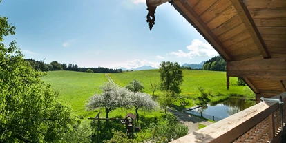 Hundehotel - Pools: Schwimmteich - Fewo Sabine (3.OG): Blick vom Balkon - Seimehof