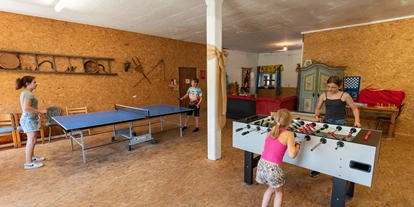 Hundehotel - Pools: Schwimmteich - Spielzimmer: 100 m² Spielmöglichkeiten mit Tischtennis, Kicker, Dart, ... - Seimehof