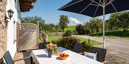 Hundehotel - Pools: Schwimmteich - Terrasse Ferienwohnung Kathrin (EG) - Seimehof