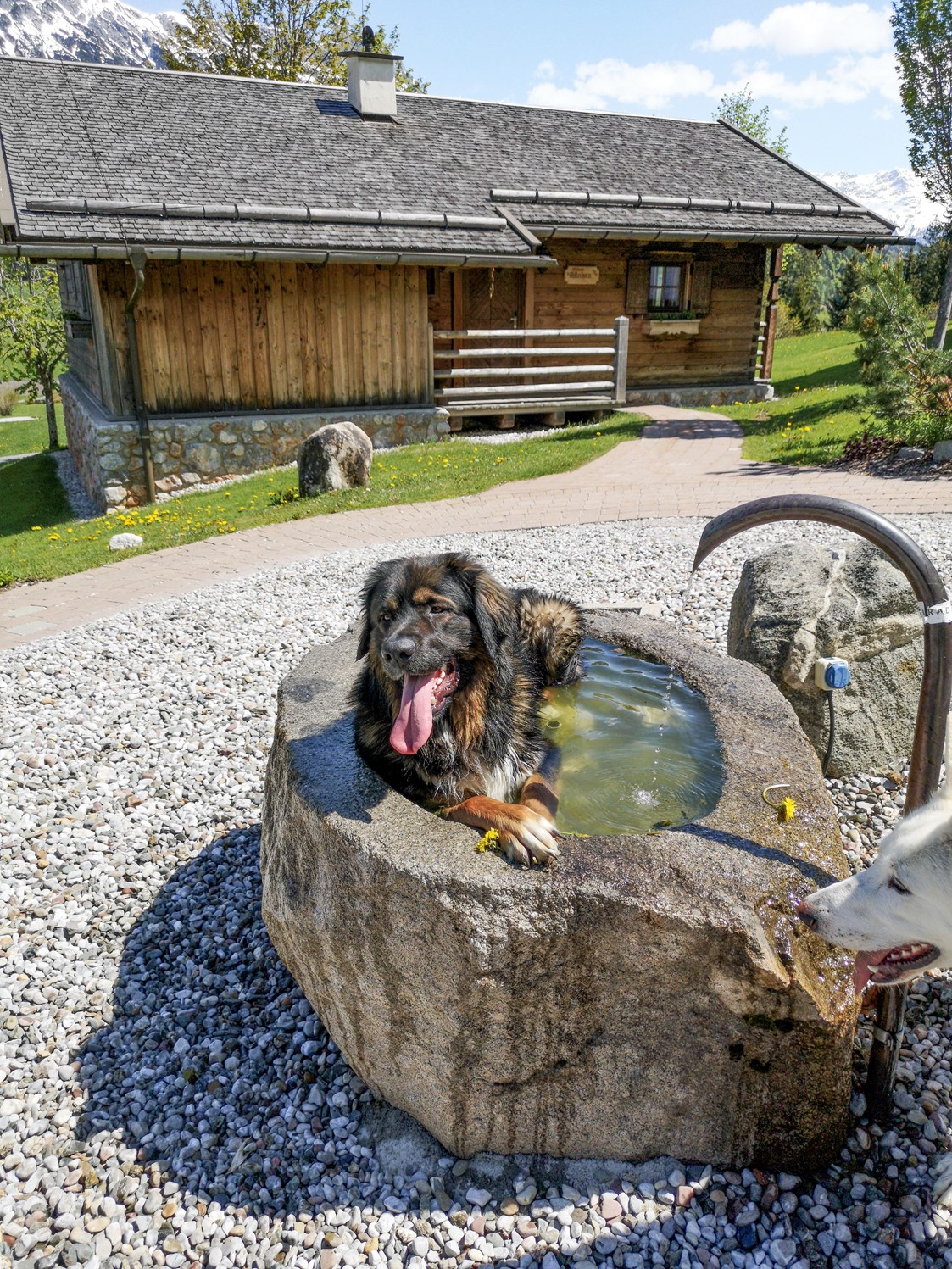 Urlaub-mit-Hund: Naturresort PURADIES 