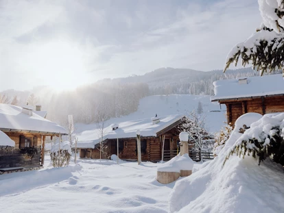 Hundehotel - Pools: Schwimmteich - Chaletdorf Winter - Naturresort PURADIES