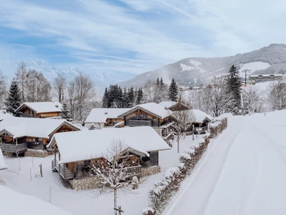 Hundehotel - Pools: Schwimmteich - Chaletdorf Winter - Naturresort PURADIES