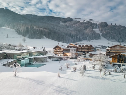 Hundehotel - Pools: Schwimmteich - Naturresort Puradies im Winter - Naturresort PURADIES