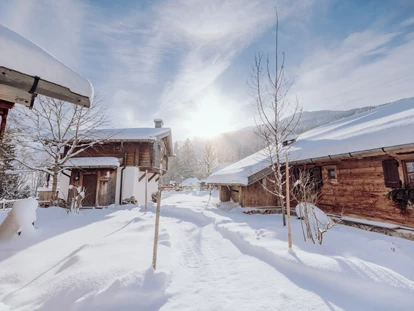 Hundehotel - Pools: Schwimmteich - Chaletdorf Winter - Naturresort PURADIES