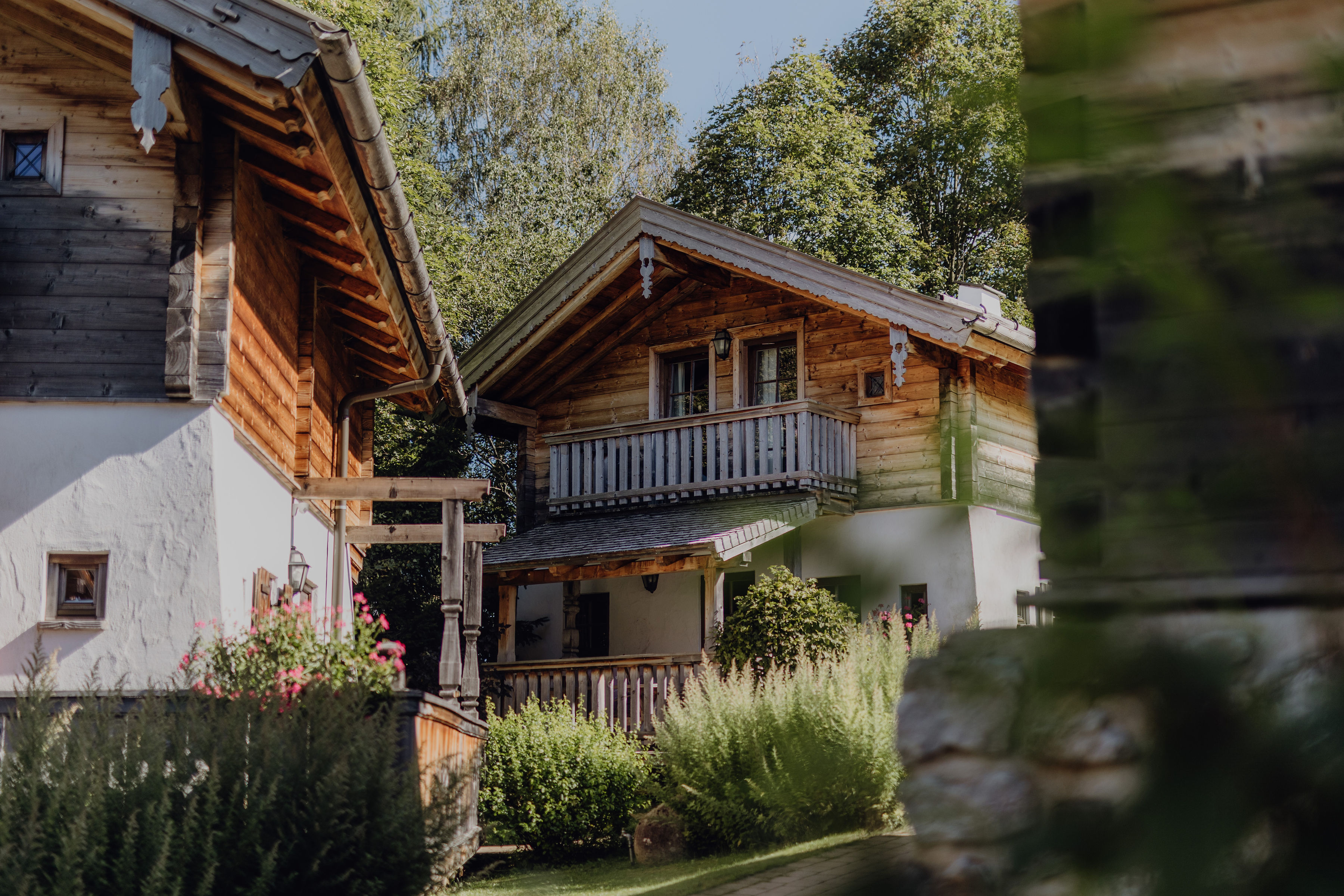 Urlaub-mit-Hund: Chaletdorf Sommer - Naturresort PURADIES - Haus | Umgebung