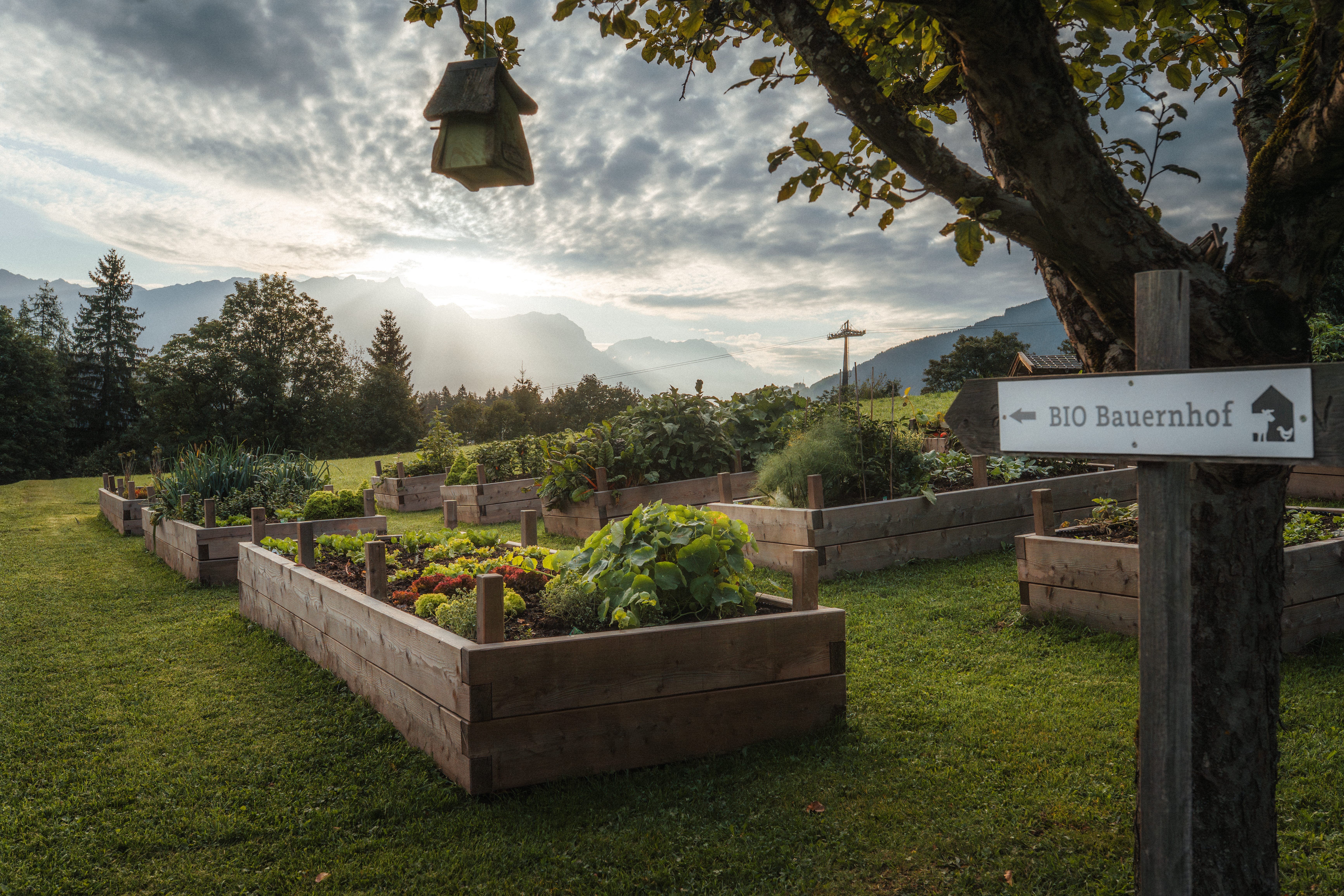 Urlaub-mit-Hund: Gemüsegarten - Naturresort PURADIES - Essen | Trinken